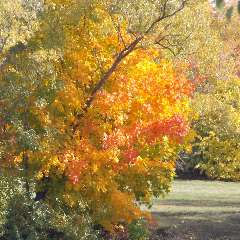 Екатерина Кекова