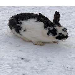 Татьяна Ильинична Гарденина