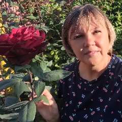 Лысова Наталья Артуровна 