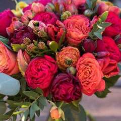 Чулкова Екатерина Геннадьевна