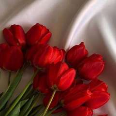 Кислинская Татьяна Сергеевна 