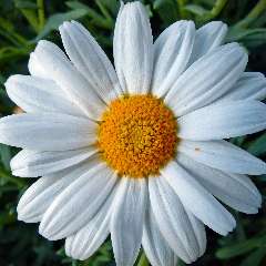 Яковлева Татьяна Викторовна