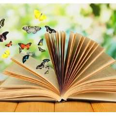 Кордюк Михаил Юрьевич