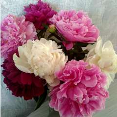 Машукова Екатерина Ильинична