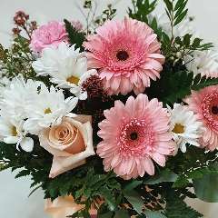 Томаева Ирина Таймуразовна