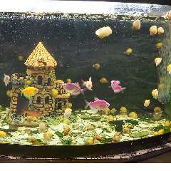 Мутина Мария Валентиновна