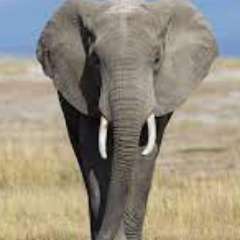 Митина Людмила Григорьевна 