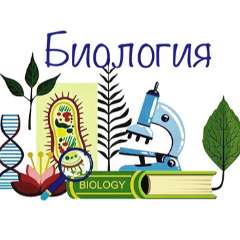 Гусейнов Мирза Мамедович