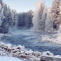 Трдатян Алина