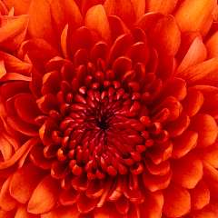 Жигачёва Наталья Валерьевна