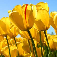 Белова Надежда Ивановна