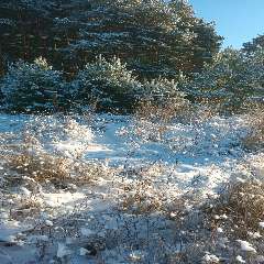 Вожакова Марина Александровна