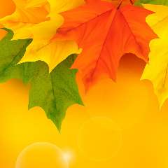 Берестнева Оксана Эдуардовна 