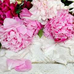 Лусикова Ирина Владимировна