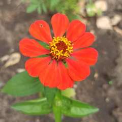 ГКУ НО Заволжский специализированный Дом ребёнка