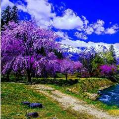 Галонская Светлана Юрьевна