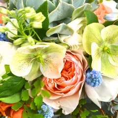 Сорокина Вера Владимировна