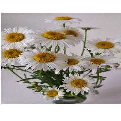 Петракова Мария Анатольевна