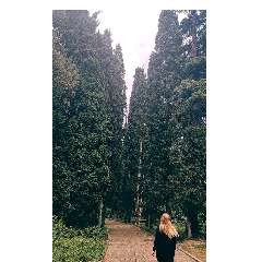 Деревянко Анастасия Богдановна