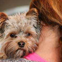 Бояршинова Марина Евгеньевна