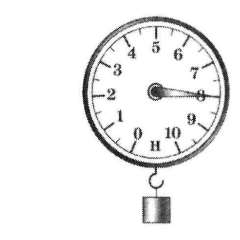 Вяткина Наталья Ивановна