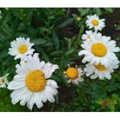 Юсупова Влада Николаевна 