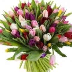 Павлова Татьяна Александровна