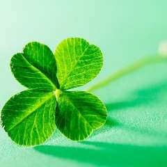 Петрова Елена Юрьевна