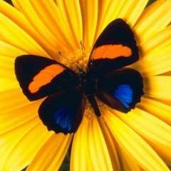 Мець Татьяна Валентиновна