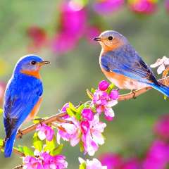 Васильева Ирина Сергеевна