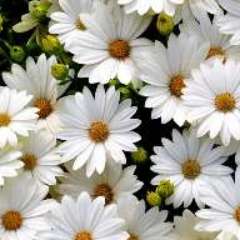 Алексеева Людмила Николаевна