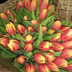 Кузнецова Светлана Геннадьевна