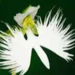 Макарова Марина Владимировна