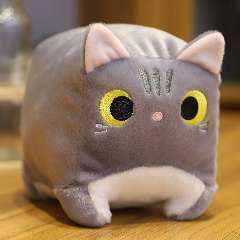 Циклаури Дарья Георгиевна