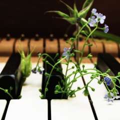 Юлия Викторовна Колесова