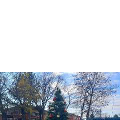 Элина Валерьевна Лакутина