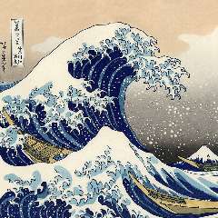 Куликова Ксения Вячеславовна 