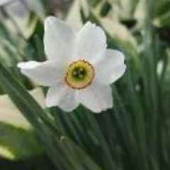 Швецова Ирина Владимировна