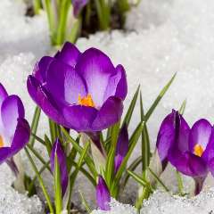 Сыркина Татьяна Васильевна 