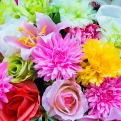 Борисова Анна Николаевна