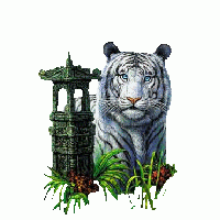 Иванова Наталья Николаевна