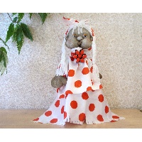 Сорокина Анастасия Васильевна