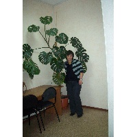 Вишнякова Наталья Николаевна