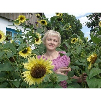 Радушинская Василина Васильевна