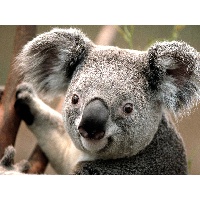 Филенкова Галина Николаевна