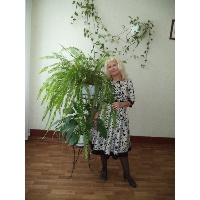 Михайлова Татьяна Николаевна