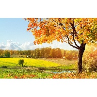 Пивненко Марина Алексеевна