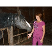 Переверзева Раиса Алексеевна