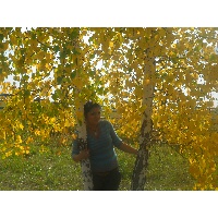 Никитина Ксения Анатольевна