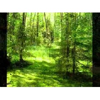 Воробьева Наталья Вячеславна